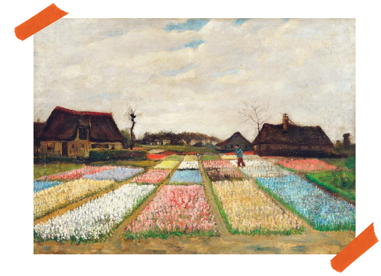 Postcard